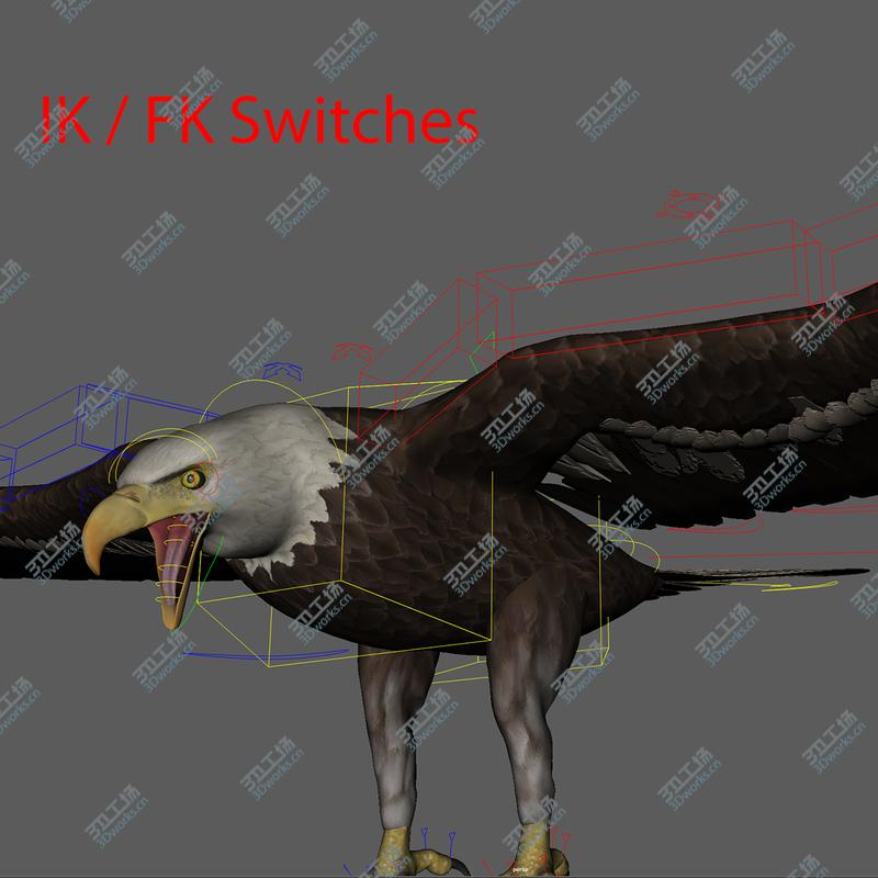 images/goods_img/202105071/3D 3D Bald Eagle American Rigged Model model/4.jpg